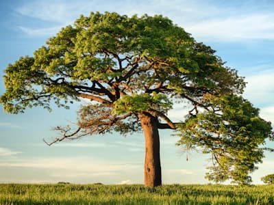 /_next/static/media/img-7.0f2b6825.webp