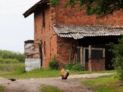 /_next/static/media/img-7.2bccdbb1.webp